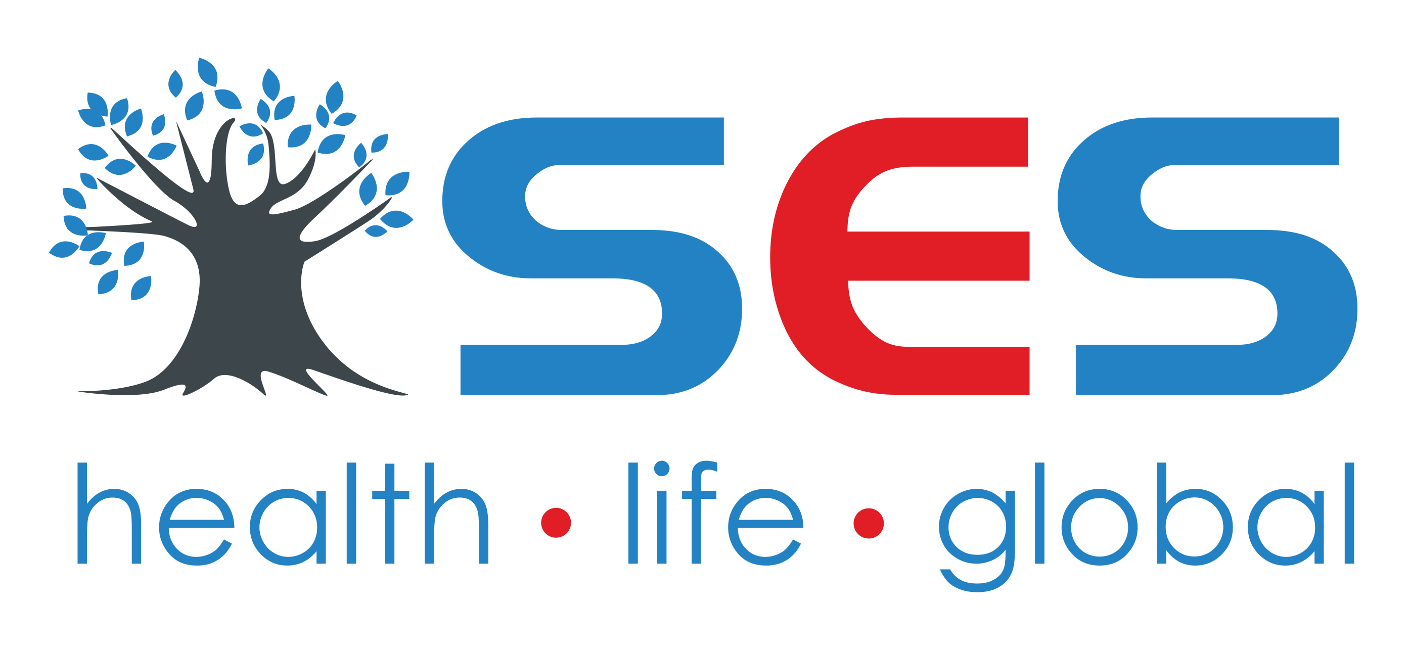 SES Logo